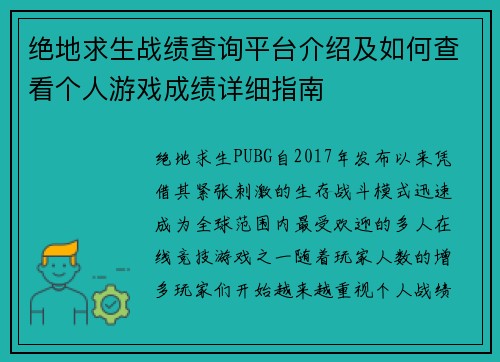 绝地求生战绩查询平台介绍及如何查看个人游戏成绩详细指南